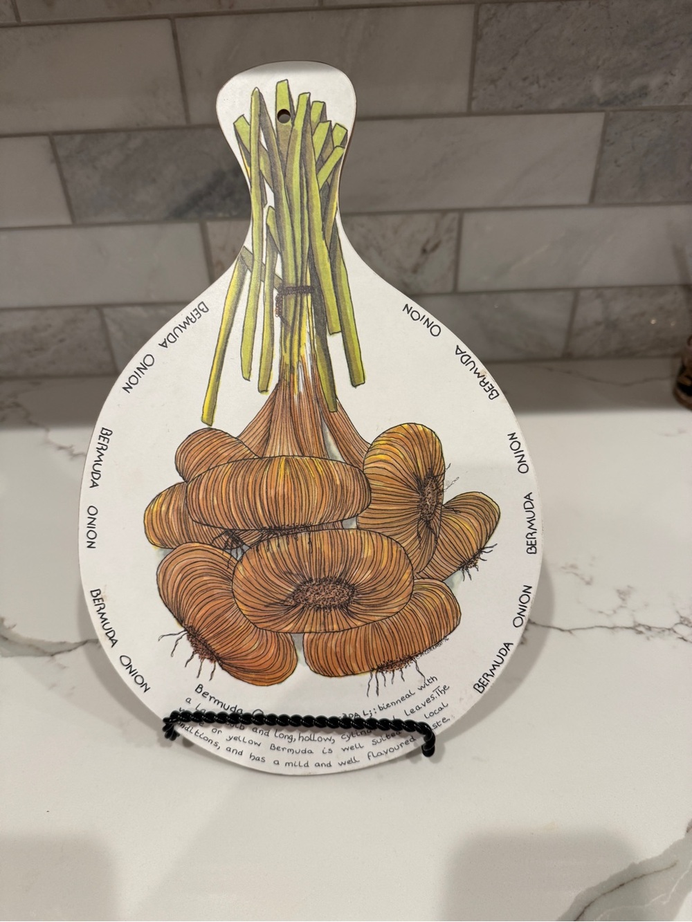 Vintage Melamine and Wood Wall Decor ,Pie Plate , Trivet